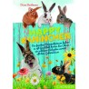 Happy Kaninchen Sachbuch von Diana Bachmann