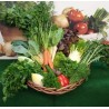 Frische Kräuter, Salat, Kohl und Gemüse Kiste "KRÄSAKOGEKI"