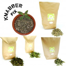 Knabberzeugs - Kräutergarten Mischung