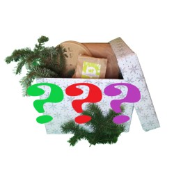 Mysterie Kaninchen-Geschenke-Box