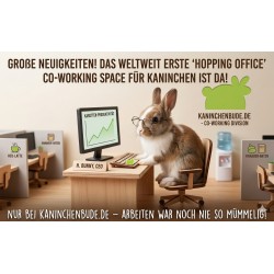 Rent-your-Kaninchenbude-Co-Working-Space