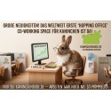 Rent-your-Kaninchenbude-Co-Working-Space